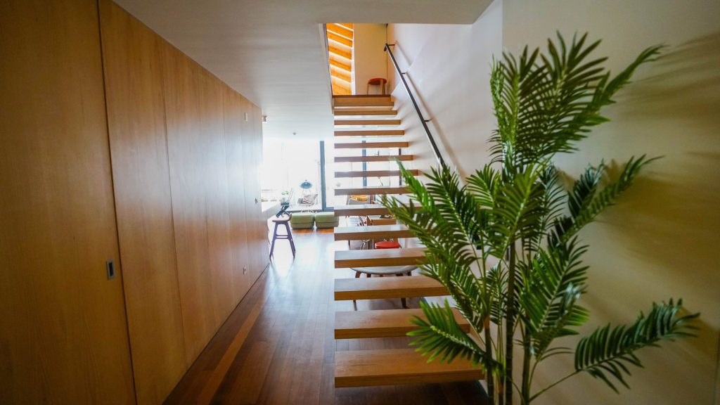 gaia-1-10-de-38-scaled