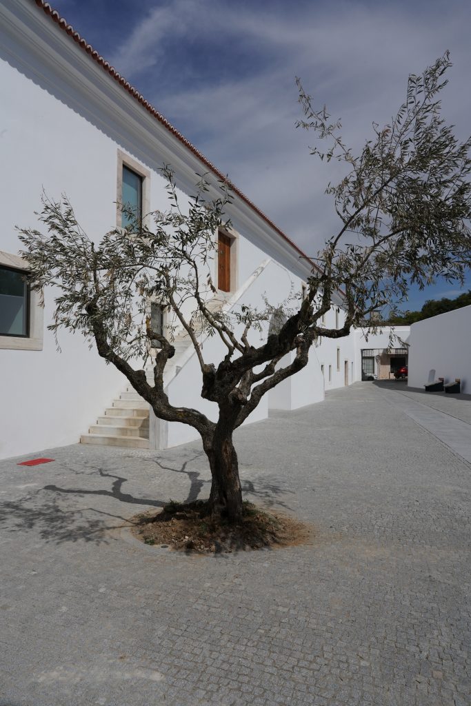 SAB04820 Arquitecto Alentejo arquitetos lisboa arquitectos lisboa arquitetos em lisboa Arquitecto Alentejo arquitetos lisboa arquitectos lisboa arquitetos em lisboa