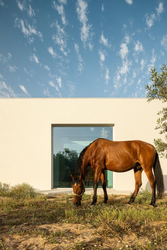 Casa M Ariane arquitetura Miguel Sabrab e fotografia Ivo Tavares Casa M Ariane arquitetura Miguel Sabrab e fotografia Ivo Tavares