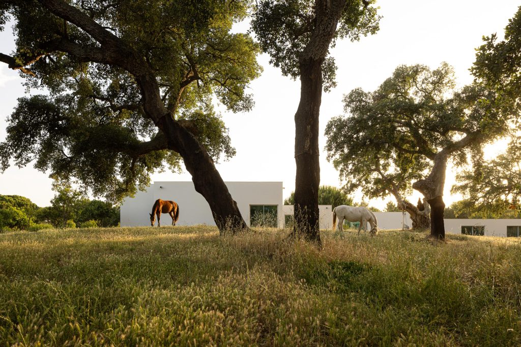 Casa M Ariane arquitetura Miguel Sabrab e fotografia Ivo Tavares Casa M Ariane arquitetura Miguel Sabrab e fotografia Ivo Tavares