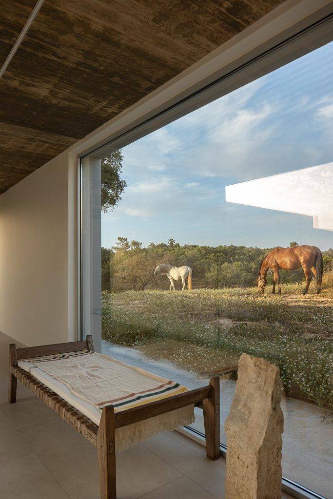 Casa M Ariane arquitetura Miguel Sabrab e fotografia Ivo Tavares Casa M Ariane arquitetura Miguel Sabrab e fotografia Ivo Tavares