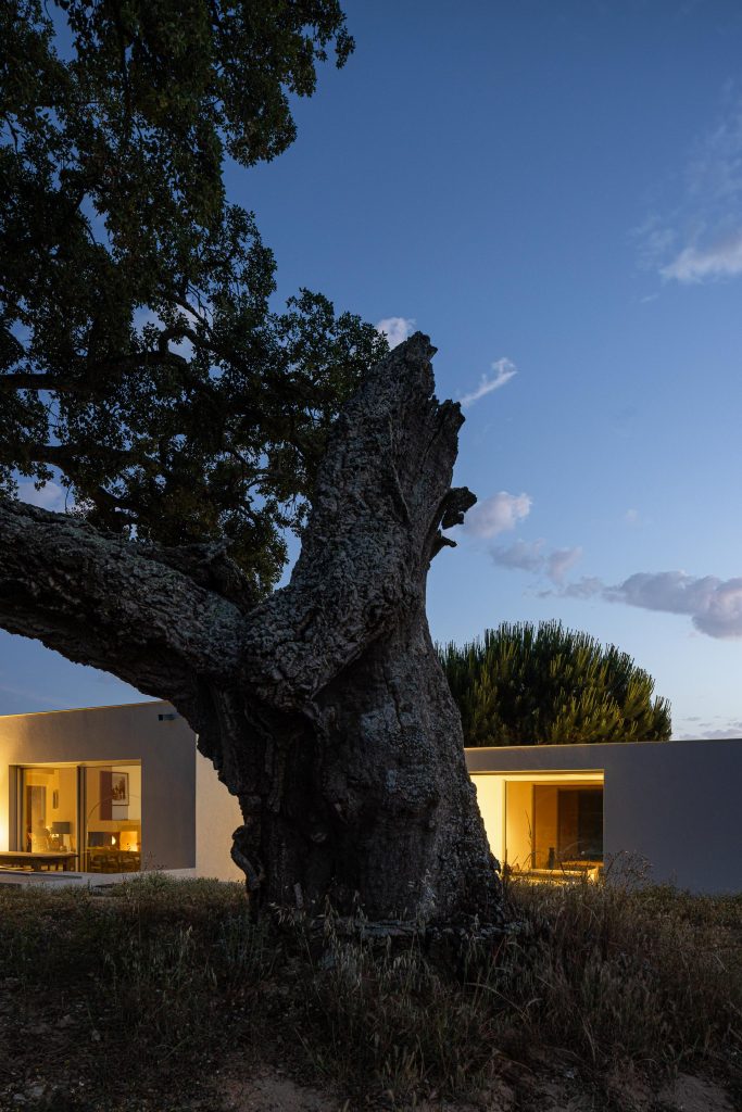 Casa M Ariane arquitetura Miguel Sabrab e fotografia Ivo Tavares Casa M Ariane arquitetura Miguel Sabrab e fotografia Ivo Tavares