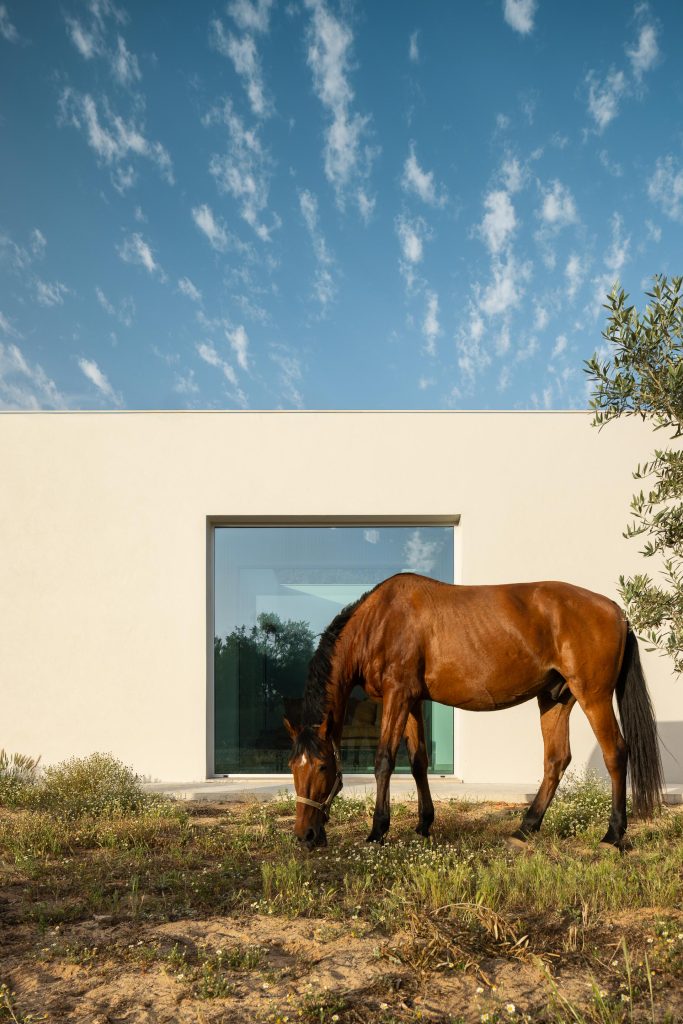 Casa M Ariane arquitetura Miguel Sabrab e fotografia Ivo Tavares Casa M Ariane arquitetura Miguel Sabrab e fotografia Ivo Tavares